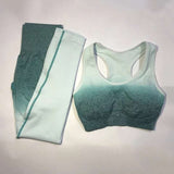 2019 New Ombre Seamless 2 Pieces Sets For Fitness