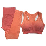2019 New Ombre Seamless 2 Pieces Sets For Fitness